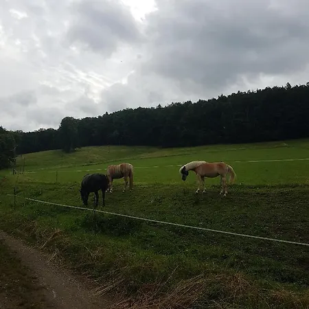 Am Thüringen Radweg